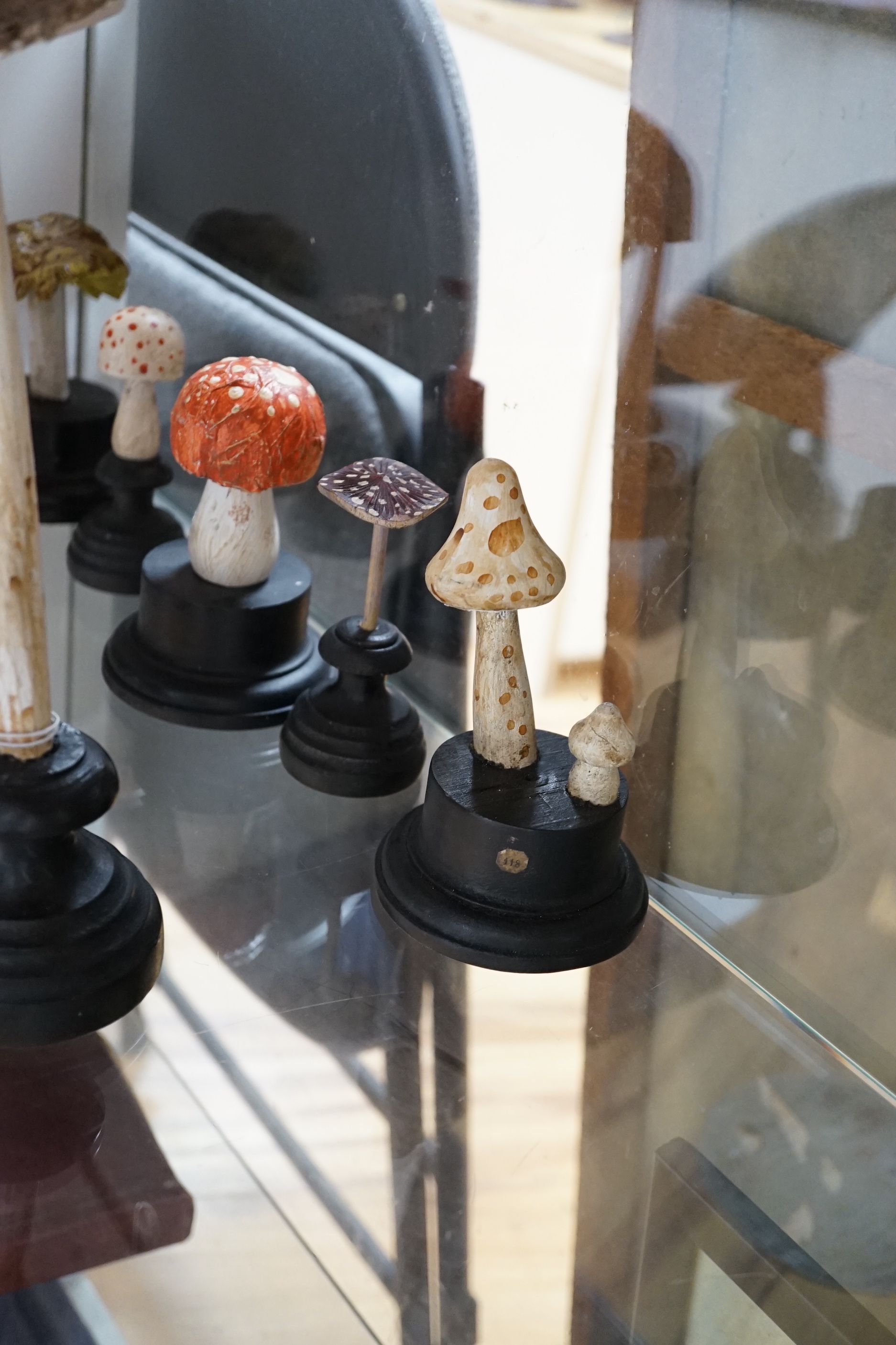 Twelve carved wood fungus specimen models, tallest 24cm